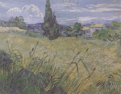 Vincent Van Gogh Green Wheat Field with Cypress (nn04) oil painting image